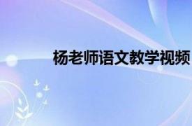 杨老师语文教学视频（杨老师在线小学语文）