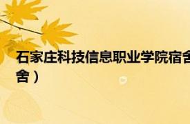 石家庄科技信息职业学院宿舍环境（石家庄科技信息职业学院宿舍）