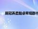 弱冠弄柔翰卓荦观群书译文（弱冠弄柔翰卓荦观群书）