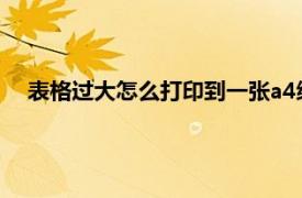 表格过大怎么打印到一张a4纸上（excel表格打印出来很小）