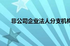 非公司企业法人分支机构（什么是公司的分支机构）