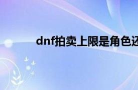 dnf拍卖上限是角色还是账号（dnf拍卖上限）