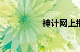 神计网上报税软件下载