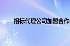 招标代理公司加盟合作费用（招标代理公司加盟）