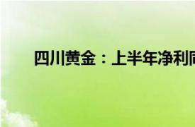 四川黄金：上半年净利同比预增51.14%至61.94%