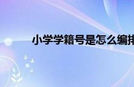 小学学籍号是怎么编排的（小学生学籍号格式）