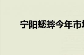 宁阳蟋蟀今年市场视频（宁阳蟋蟀）