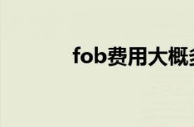 fob费用大概多少（fob费用）