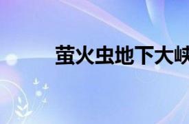 萤火虫地下大峡谷（地下大峡谷）