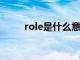 role是什么意思（rol是什么意思）