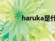 haruka是什么意思（haruka）