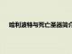 哈利波特与死亡圣器简介50字（哈利波特与死亡圣器简介）