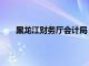 黑龙江财务厅会计局（黑龙江省财政厅会计局官网）