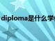 diploma是什么学位（diploma是什么学历）