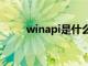 winapi是什么（winpcap是什么）