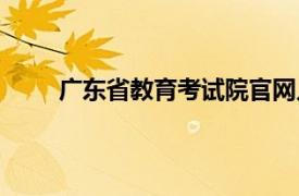 广东省教育考试院官网入口（广东教育考试院网）