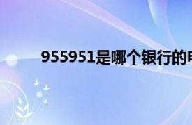 955951是哪个银行的电话（95595是哪个银行）