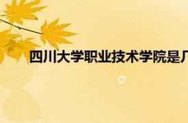 四川大学职业技术学院是几本（四川大学职业技术学院）