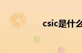 csic是什么意思（csic）