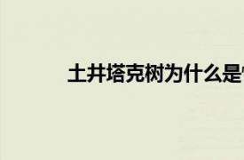 土井塔克树为什么是怪盗基德（土井塔克树）