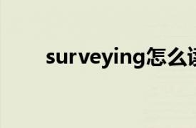 surveying怎么读（survey怎么读）