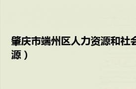 肇庆市端州区人力资源和社会保障局局长（肇庆市端州区人力资源）