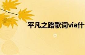 平凡之路歌词via什么意思（via什么意思）