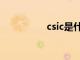 csic是什么意思（csic）