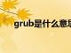 grub是什么意思?（grub是什么意思）