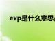 exp是什么意思英文（exp是什么意思）