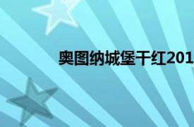 奥图纳城堡干红2012多少钱一瓶（奥图纳）