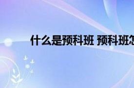 什么是预科班 预科班怎么招生（什么是预科班）