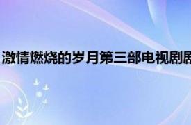 激情燃烧的岁月第三部电视剧剧情解析（激情燃烧的岁月第三部）