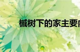 槭树下的家主要内容（槭树下的家）