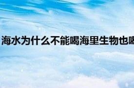 海水为什么不能喝海里生物也喝海水又没事（海水为什么不能喝）