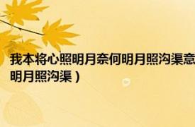 我本将心照明月奈何明月照沟渠意思相近的还有那些（我本将心照明月奈何明月照沟渠）