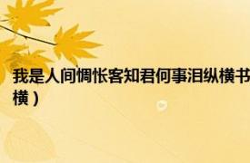 我是人间惆怅客知君何事泪纵横书写正确吗（我是人间惆怅客知君何事泪纵横）