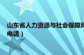 山东省人力资源与社会保障局电话（山东人力资源和社会保障局电话）