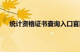 统计资格证书查询入口官网（全国统计资格证书查询）