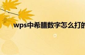 wps中希腊数字怎么打的（wps中希腊数字怎么打）