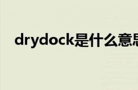 drydock是什么意思（dock是什么意思）