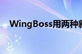 WingBoss用两种新酱汁增加热量和风味