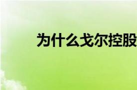 为什么戈尔控股VI的股票周三飙升