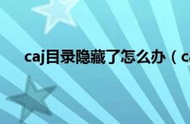 caj目录隐藏了怎么办（caj目录关掉了如何显示出来）