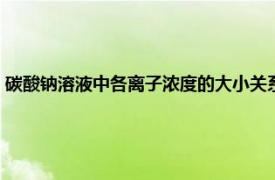 碳酸钠溶液中各离子浓度的大小关系（碳酸钠溶液中的离子浓度大小关系）