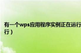 有一个wps应用程序实例正在运行怎么办（有一个wps应用程序实例正在运行）