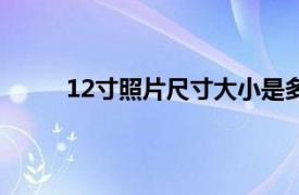 12寸照片尺寸大小是多少厘米（12寸照片尺寸）