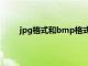 jpg格式和bmp格式的区别（bmp与jpg的区别）