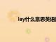 lay什么意思英语翻译（英文lay是什么意思）