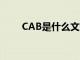 CAB是什么文件（cab是什么文件）